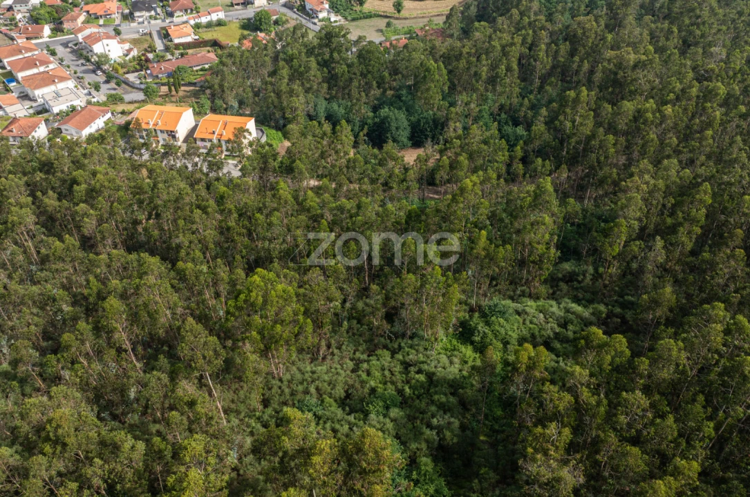 Terreno para Venda em Arnoso (Santa Maria e Santa Eulália) e Sezures Foto 21