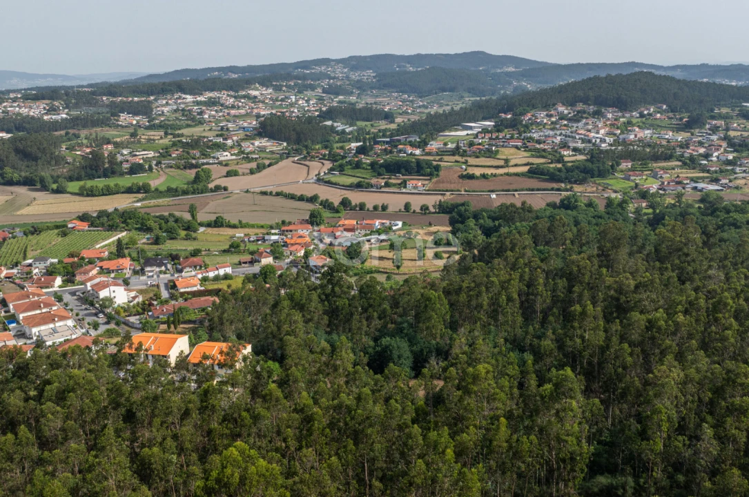 Terreno para Venda em Arnoso (Santa Maria e Santa Eulália) e Sezures Foto 22