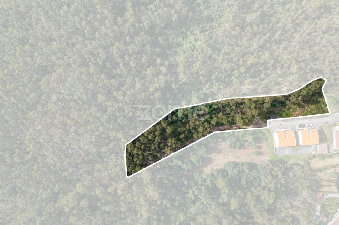 Terreno para Venda em Arnoso (Santa Maria e Santa Eulália) e Sezures Foto 11