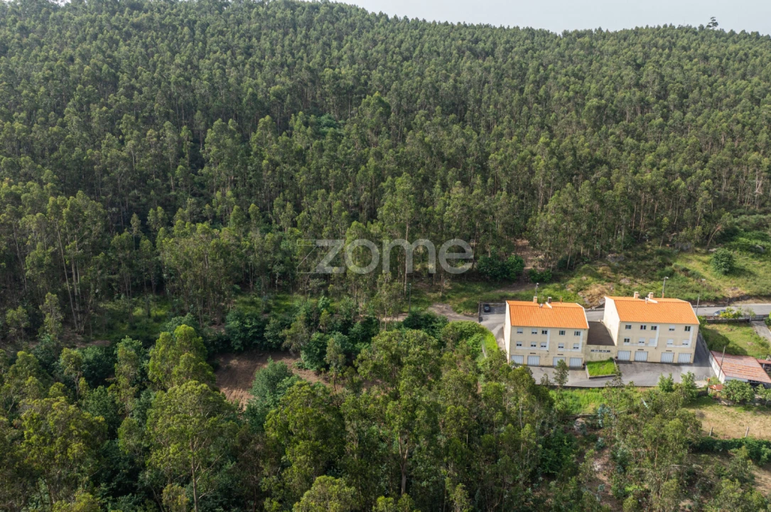 Terreno para Venda em Arnoso (Santa Maria e Santa Eulália) e Sezures Foto 28