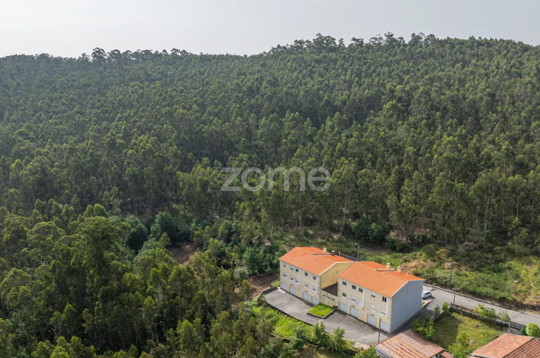 Terreno para Venda em Arnoso (Santa Maria e Santa Eulália) e Sezures Foto 29