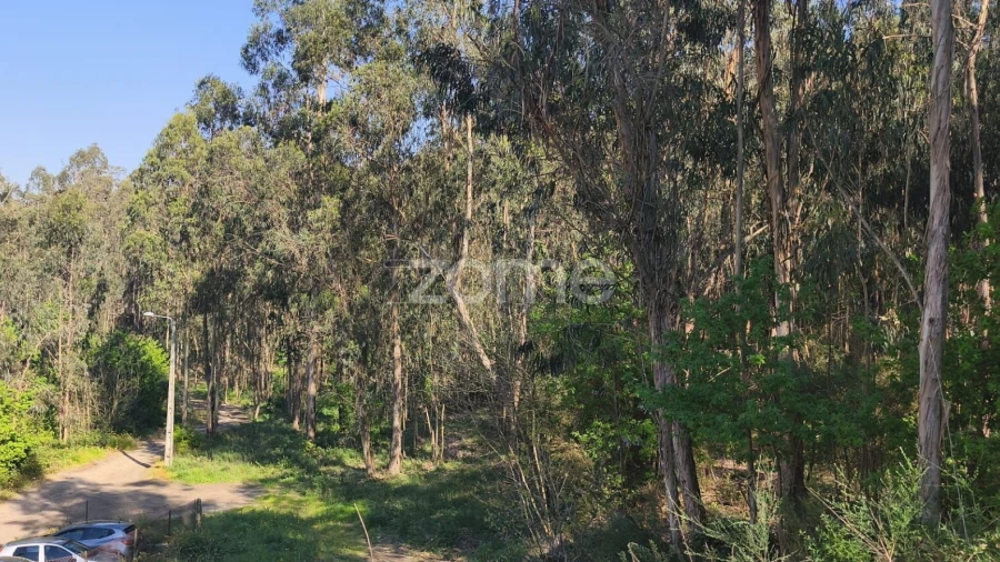 Terreno para Venda em Arnoso (Santa Maria e Santa Eulália) e Sezures