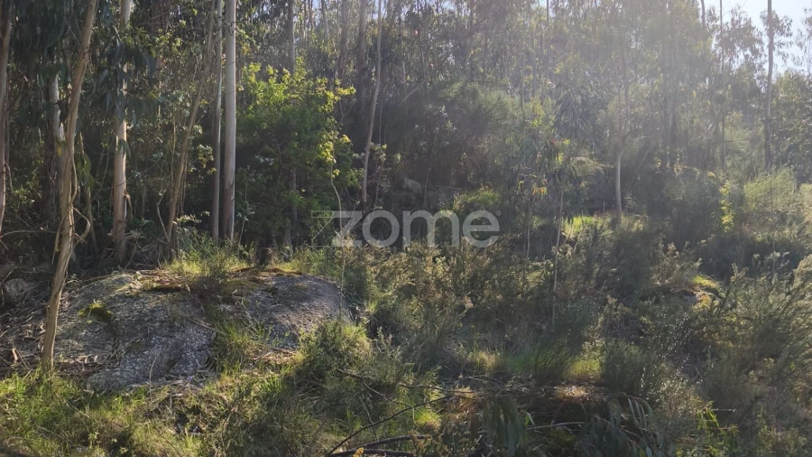 Terreno para Venda em Arnoso (Santa Maria e Santa Eulália) e Sezures