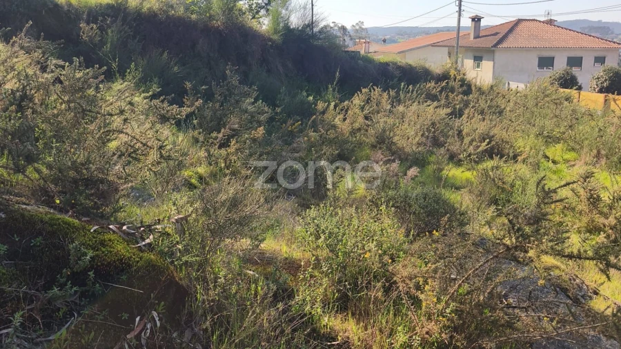 Terreno para Venda em Arnoso (Santa Maria e Santa Eulália) e Sezures