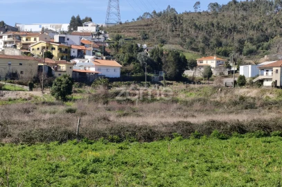 Terreno para Venda em Rebordosa