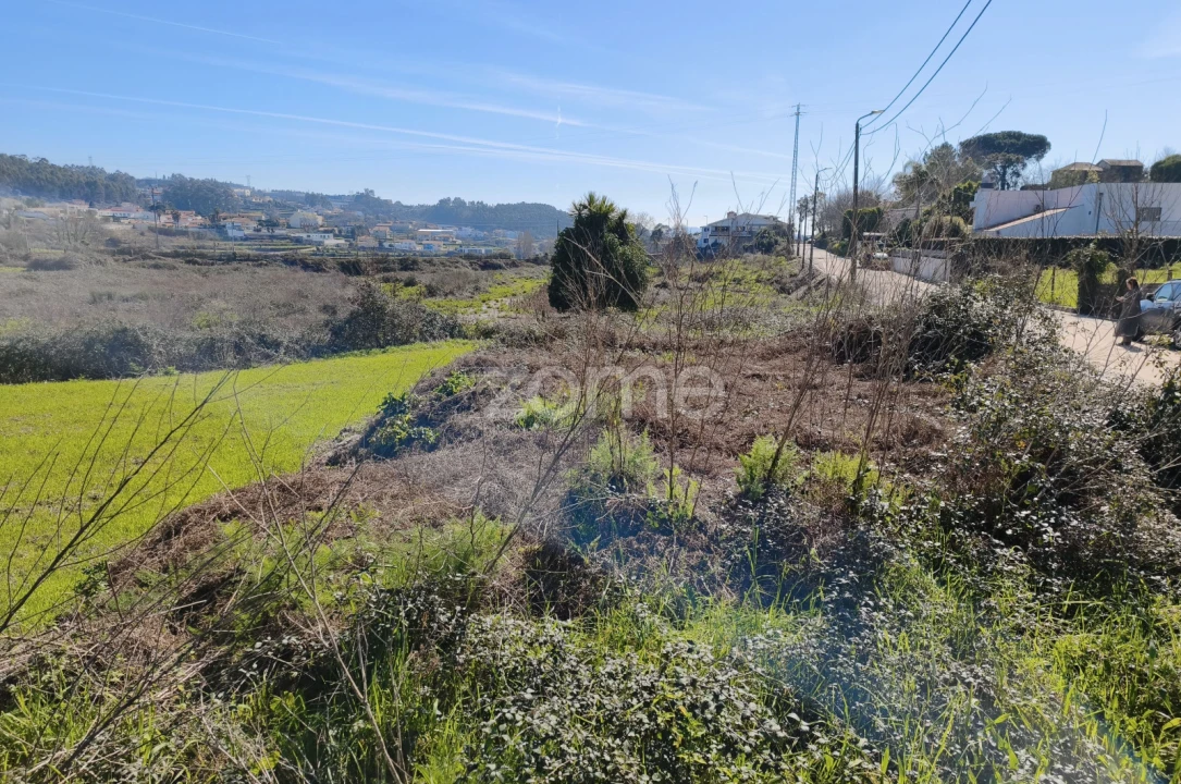 Terreno para Venda em Rebordosa Foto 5