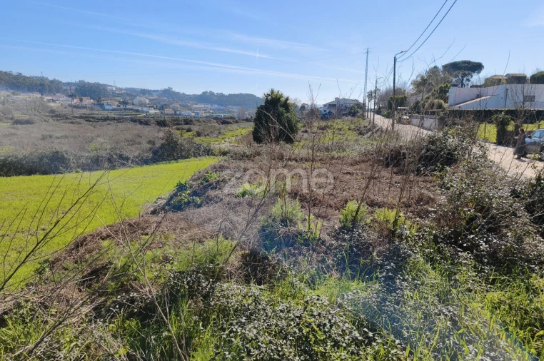 Terreno para Venda em Rebordosa Foto 5