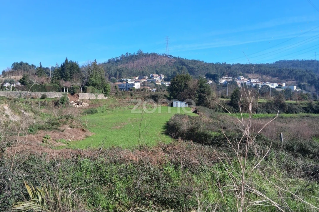 Terreno para Venda em Rebordosa Foto 3