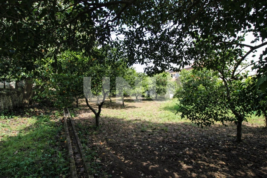 Terreno Misto para Venda em Vila Franca de Xira Foto 14