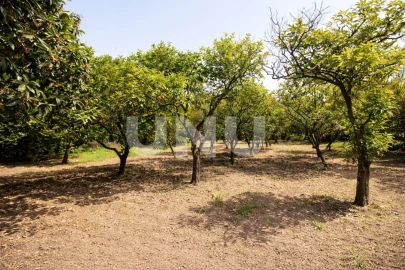 Terreno Misto para Venda em Vila Franca de Xira