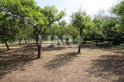 Terreno Misto para Venda em Vila Franca de Xira