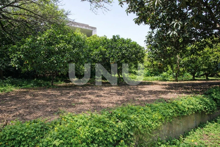 Terreno Misto para Venda em Vila Franca de Xira Foto 11