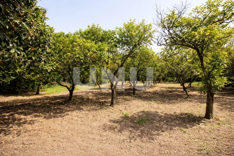 Terreno Misto para Venda em Vila Franca de Xira Foto 12