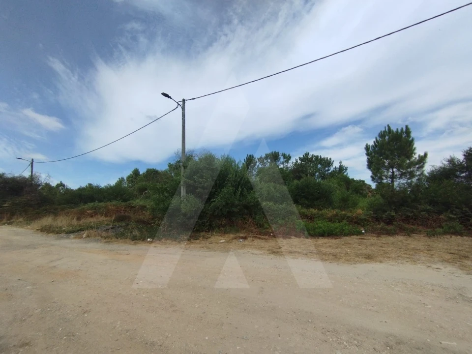 Terreno Agricola ou Rústico para Venda em Fernao Ferro Foto 2