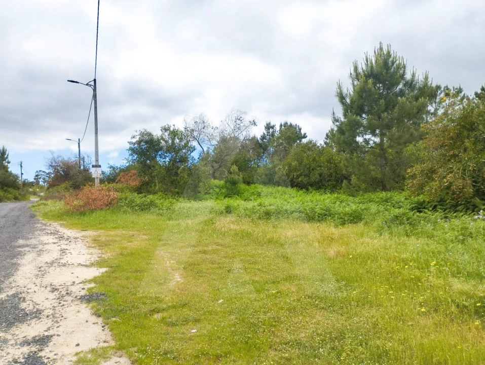 Terreno Agricola ou Rústico para Venda em Fernao Ferro Foto 10