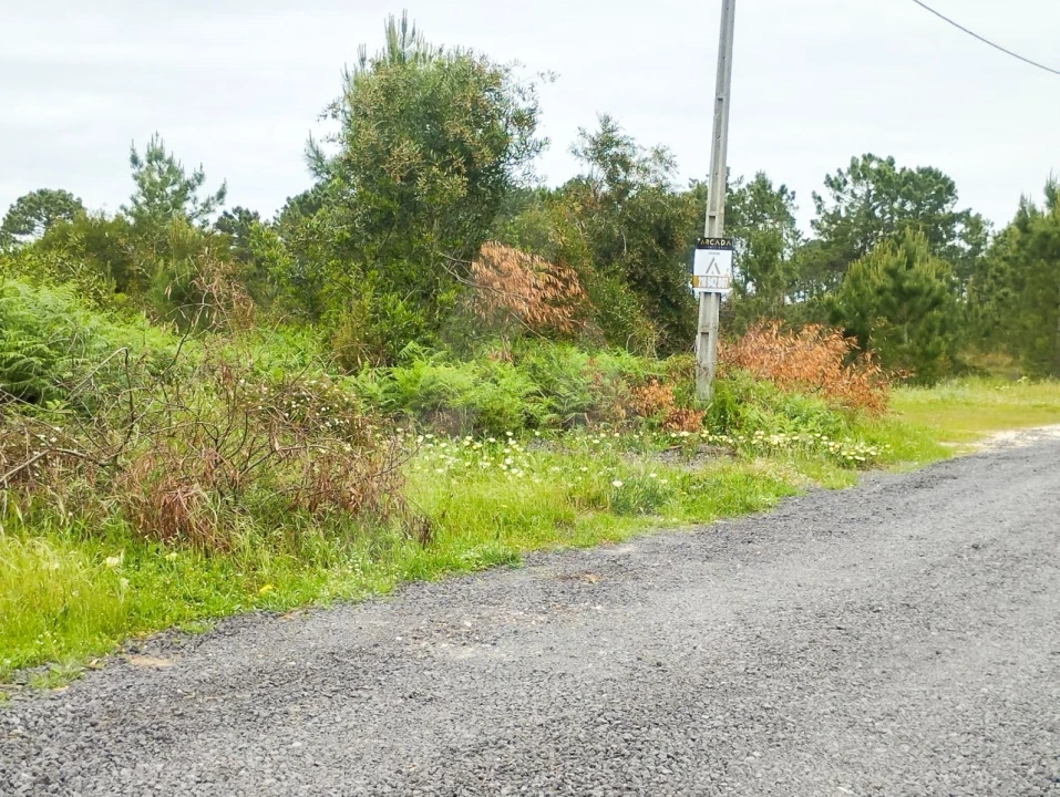 Terreno Agricola ou Rústico para Venda em Fernao Ferro Foto 13