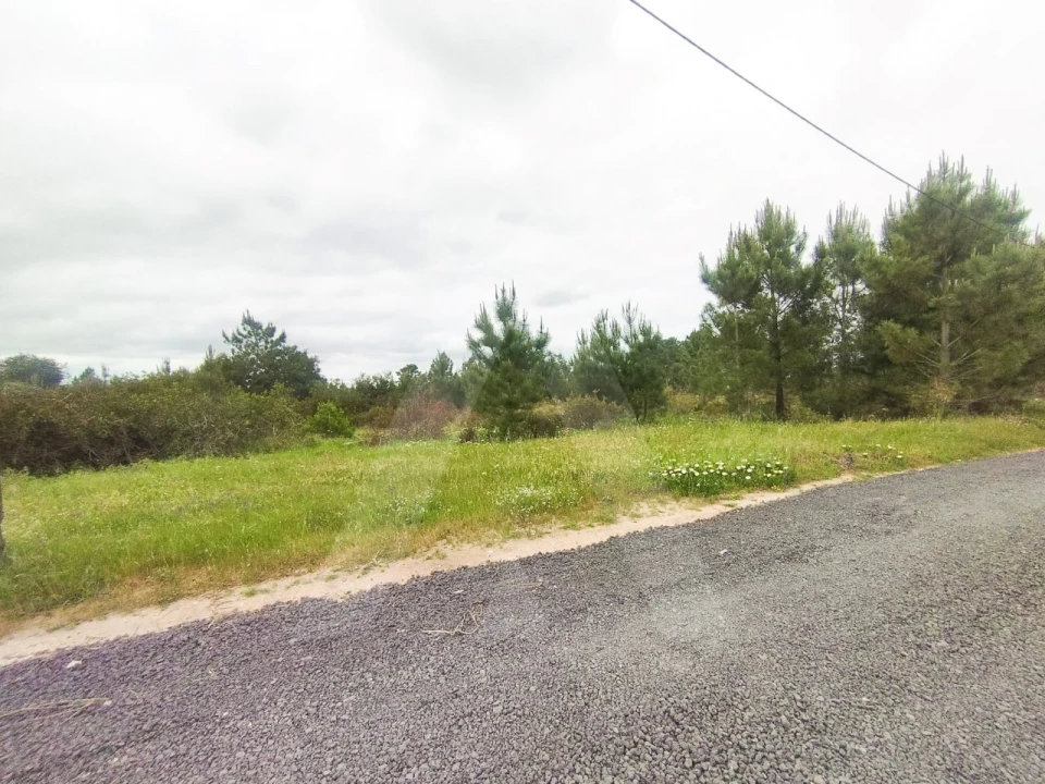 Terreno Agricola ou Rústico para Venda em Fernao Ferro Foto 15