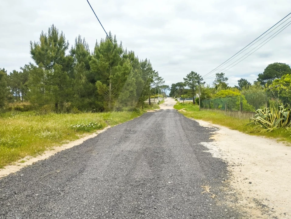 Terreno Agricola ou Rústico para Venda em Fernao Ferro Foto 16