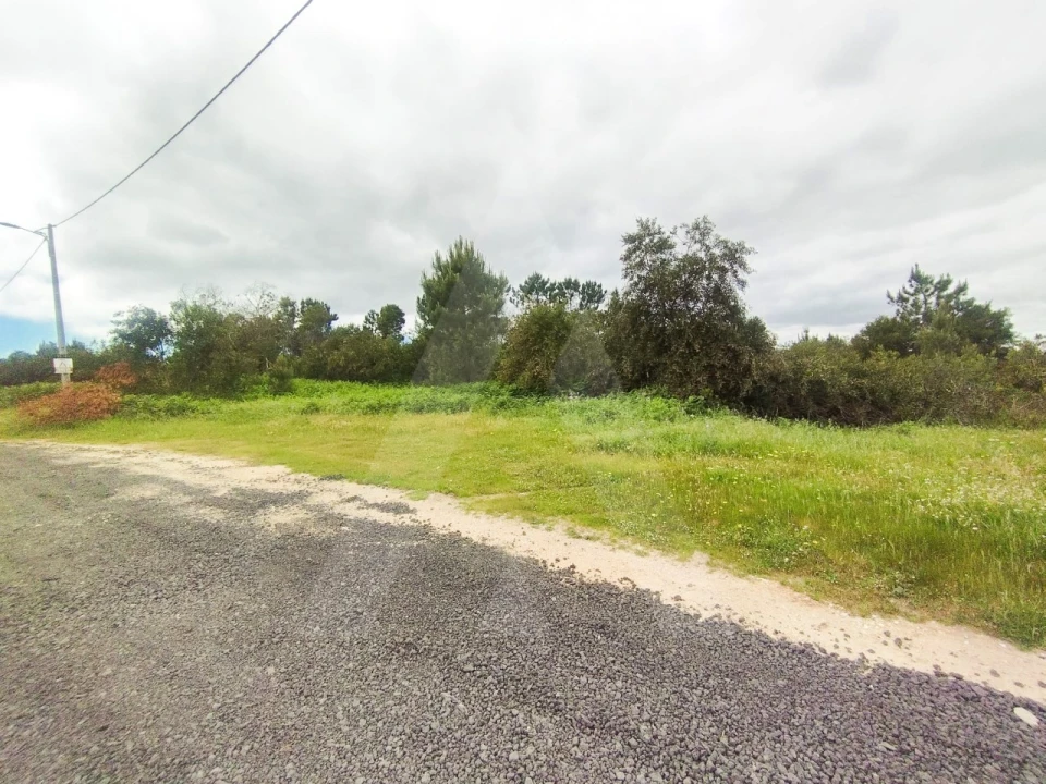 Terreno Agricola ou Rústico para Venda em Fernao Ferro Foto 18
