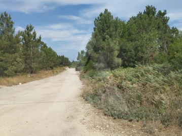 Terreno Agricola ou Rústico para Venda em Fernao Ferro