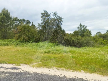 Terreno Agricola ou Rústico para Venda em Fernao Ferro