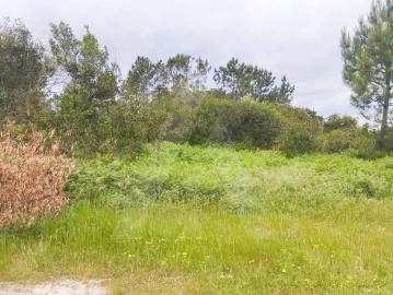 Terreno Agricola ou Rústico para Venda em Fernao Ferro