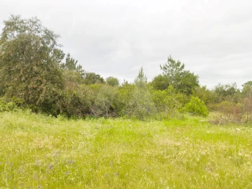 Terreno Agricola ou Rústico para Venda em Fernao Ferro