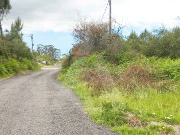 Terreno Agricola ou Rústico para Venda em Fernao Ferro