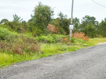 Terreno Agricola ou Rústico para Venda em Fernao Ferro