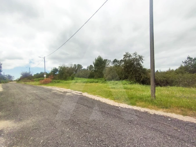 Terreno Agricola ou Rústico para Venda em Fernao Ferro Foto 17