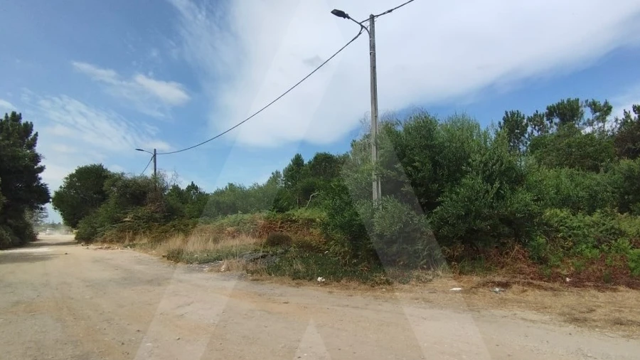 Terreno Agricola ou Rústico para Venda em Fernao Ferro