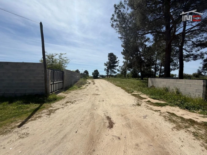 Terreno Agricola ou Rústico para Venda em Poceirão e Marateca Foto 12