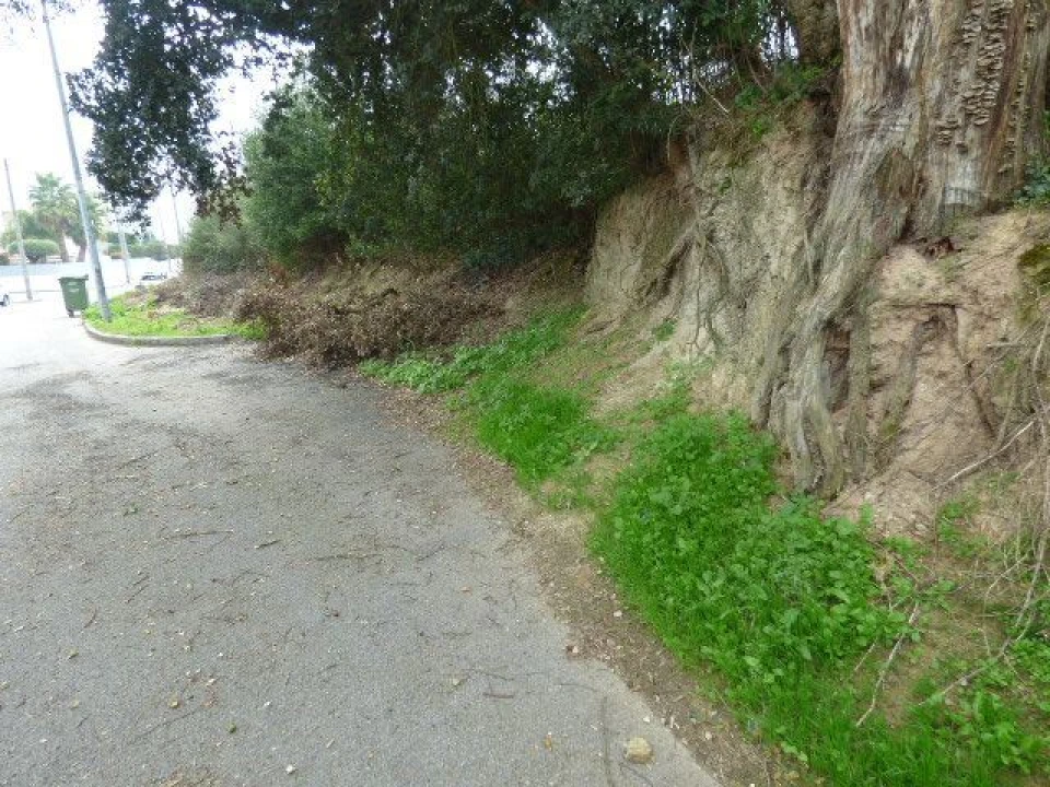 Terreno para Venda em Grijó e Sermonde Foto 5