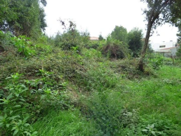 Terreno para Venda em Grijó e Sermonde