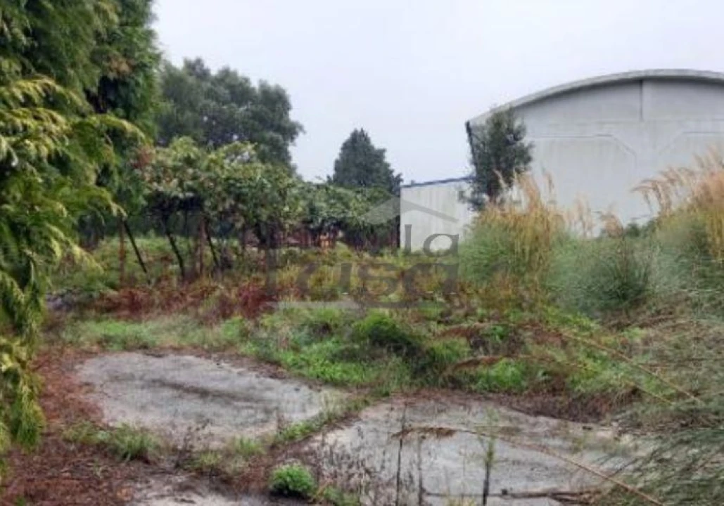 Armazém para Venda em Santa Maria de Lamas Foto 4