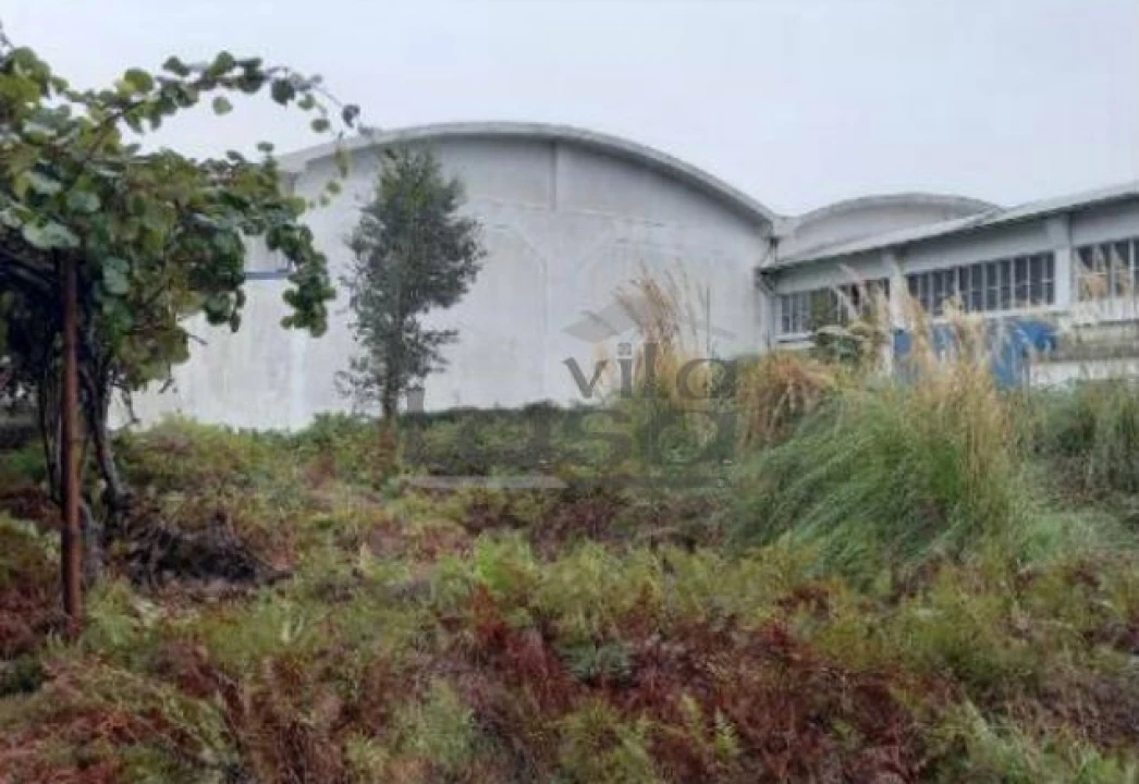Armazém para Venda em Santa Maria de Lamas Foto 18