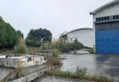 Armazém para Venda em Santa Maria de Lamas