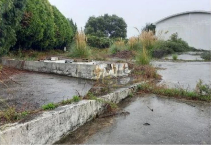 Armazém para Venda em Santa Maria de Lamas Foto 3