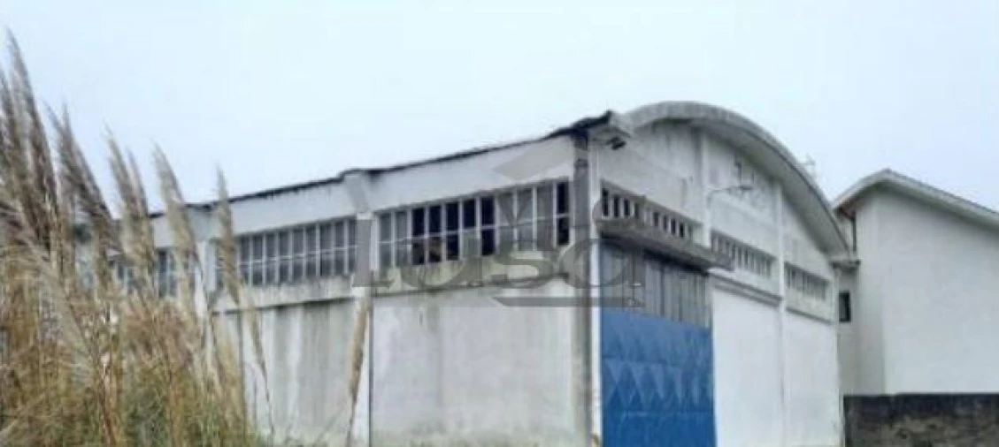 Armazém para Venda em Santa Maria de Lamas Foto 20