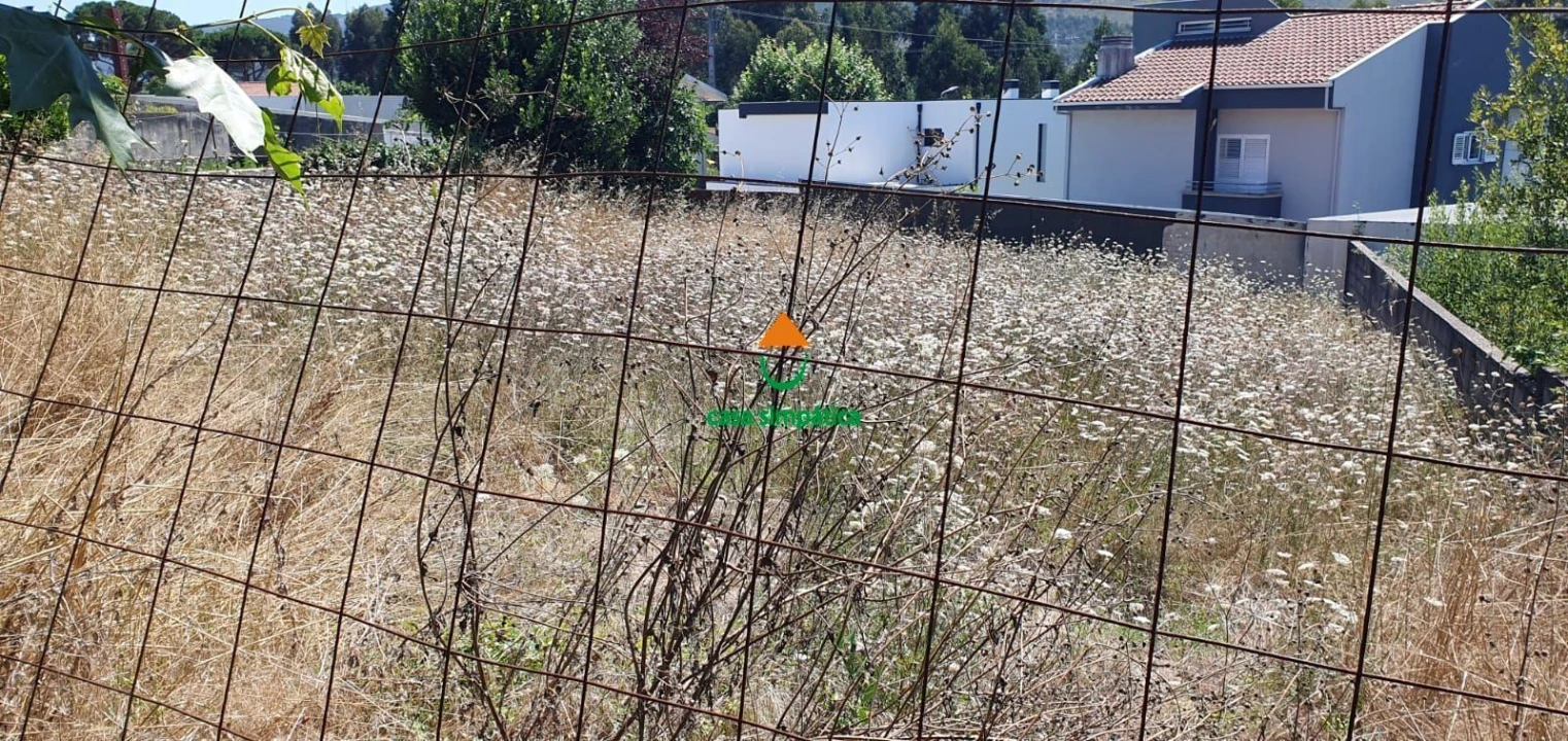 Terreno para Venda em Campo e Sobrado Foto 4