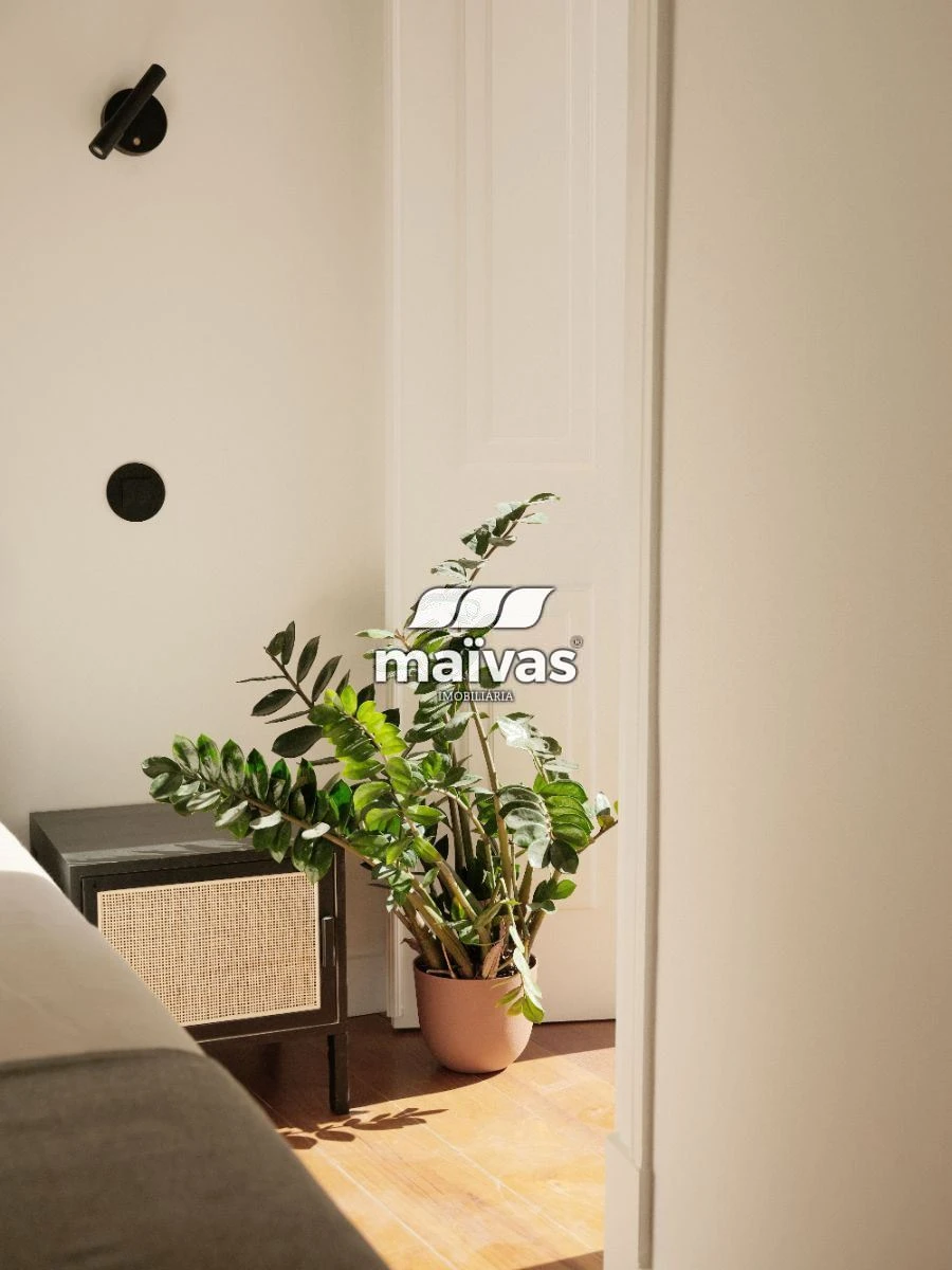Apartamento T1 para Venda em Santa Maria Maior Foto 29