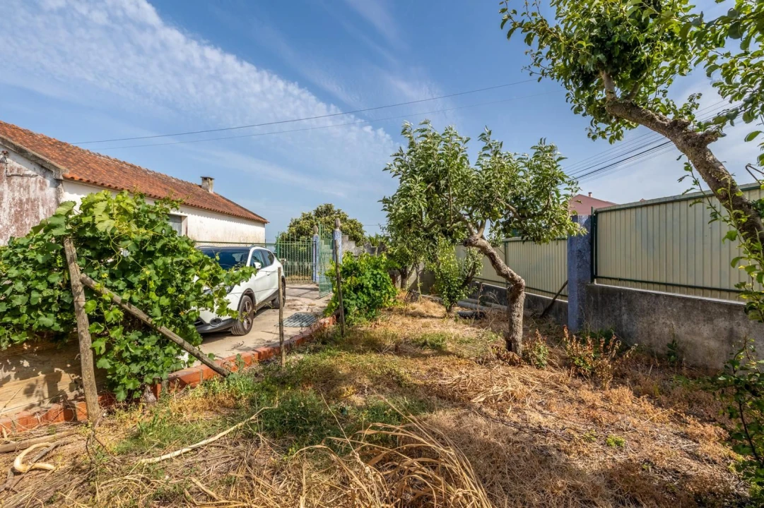 Terreno Misto para Venda em Alenquer (Santo Estêvão e Triana) Foto 21