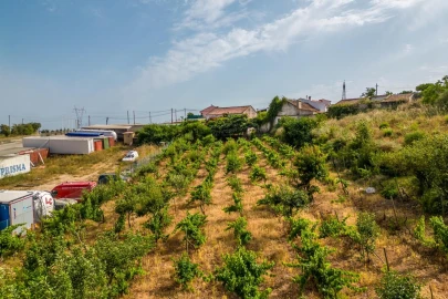 Terreno Misto para Venda em Alenquer (Santo Estêvão e Triana)