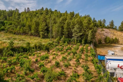 Terreno Misto para Venda em Alenquer (Santo Estêvão e Triana)
