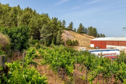 Terreno Misto para Venda em Alenquer (Santo Estêvão e Triana)