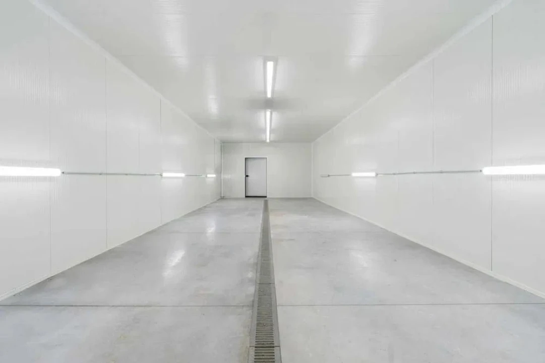 Armazém para Arrendamento em Melres e Medas Foto 3