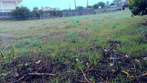 Terreno Agricola ou Rústico para Venda em Canelas e Fermelã