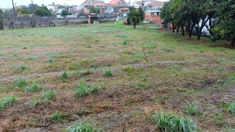 Terreno Agricola ou Rústico para Venda em Canelas e Fermelã