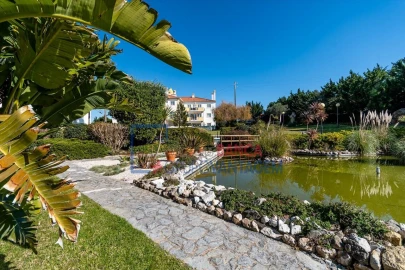 Apartamento T3 para Venda em Santa Maria e São Miguel, São Martinho, São Pedro Penaferrim