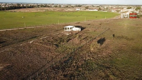 Terreno Agricola ou Rústico para Venda em Salvaterra de Magos e Foros de Salvaterra